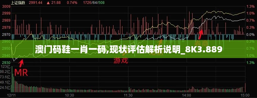 澳门码鞋一肖一码,现状评估解析说明_8K3.889