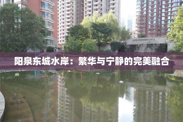 阳泉东城水岸:繁华与宁静的完美融合