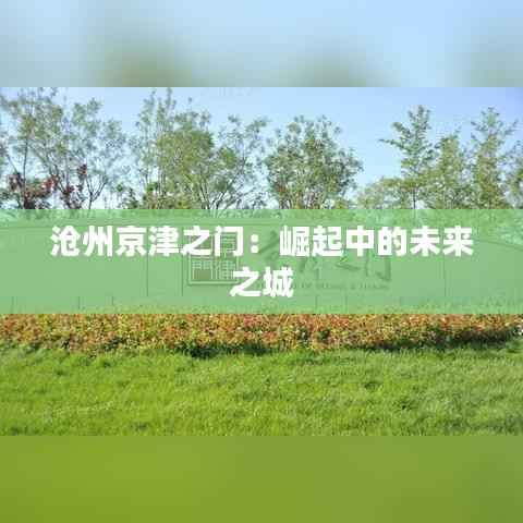 沧州京津之门:崛起中的未来之城