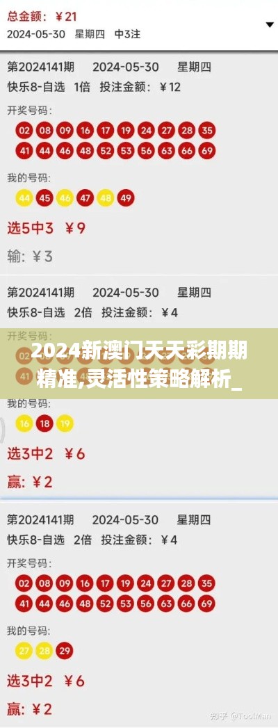 2024新澳门天天彩期期精准,灵活性策略解析_PalmOS3.543