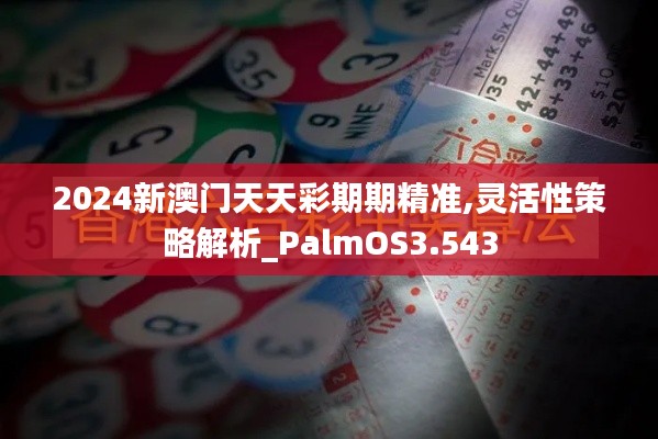2024新澳门天天彩期期精准,灵活性策略解析_PalmOS3.543