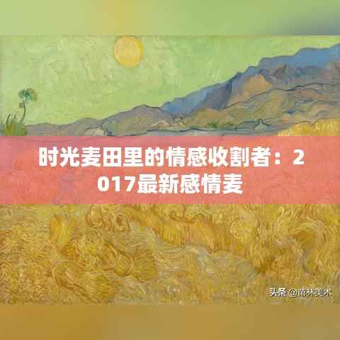 时光麦田里的情感收割者:2017最新感情麦