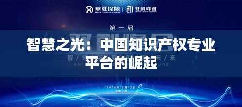 智慧之光:中国知识产权专业平台的崛起