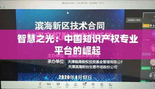 智慧之光:中国知识产权专业平台的崛起