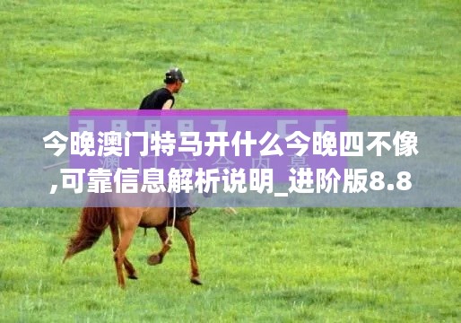 今晚澳门特马开什么今晚四不像,可靠信息解析说明_进阶版8.855