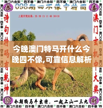 今晚澳门特马开什么今晚四不像,可靠信息解析说明_进阶版8.855