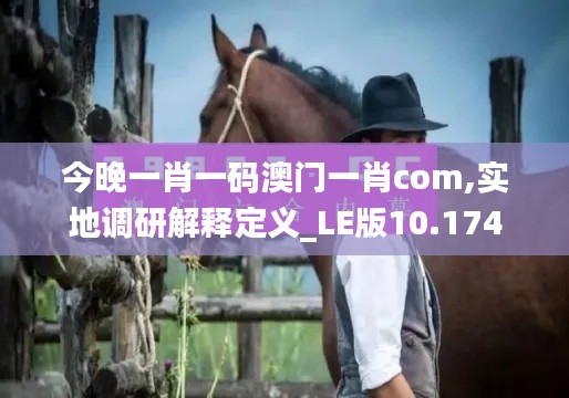 今晚一肖一码澳门一肖com,实地调研解释定义_LE版10.174