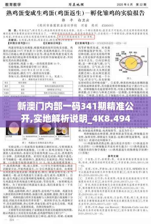 新澳门内部一码341期精准公开,实地解析说明_4K8.494