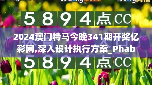 2024澳门特马今晚341期开奖亿彩网,深入设计执行方案_Phablet8.141