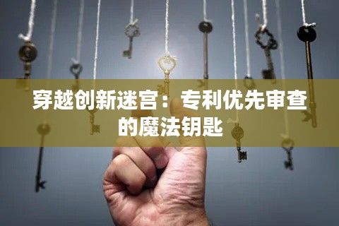 穿越创新迷宫:专利优先审查的魔法钥匙