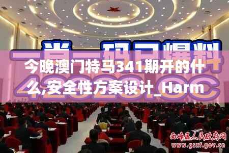 今晚澳门特马341期开的什么,安全性方案设计_Harmony10.248