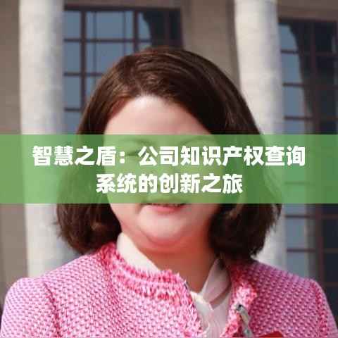 智慧之盾:公司知识产权查询系统的创新之旅