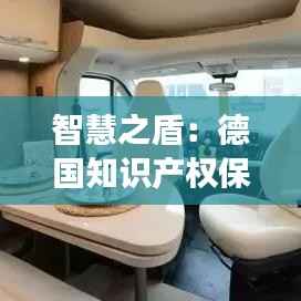智慧之盾:德国知识产权保护政策的创新之旅