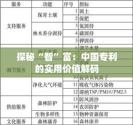 探秘“智”富:中国专利的实用价值解码