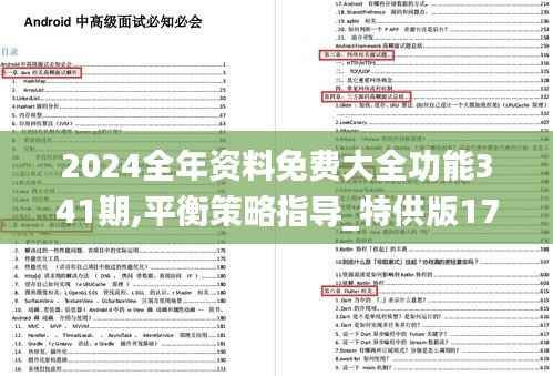2024全年资料免费大全功能341期,平衡策略指导_特供版17.929