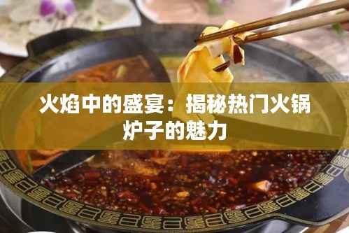 火焰中的盛宴:揭秘热门火锅炉子的魅力