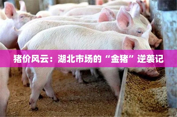 猪价风云:湖北市场的“金猪”逆袭记