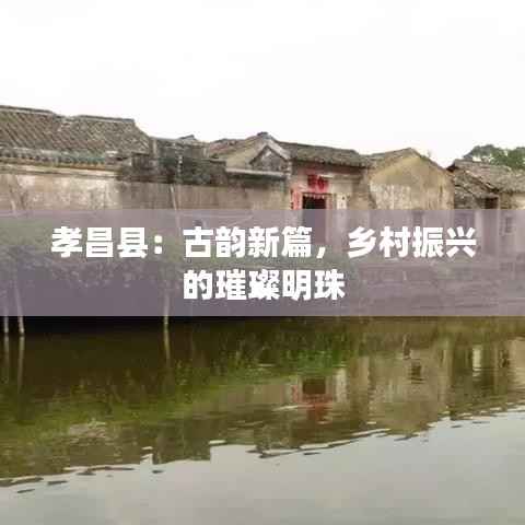 孝昌县:古韵新篇,乡村振兴的璀璨明珠