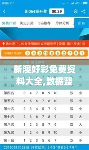 新澳好彩免费资料大全,数据整合执行设计_Gold2.298