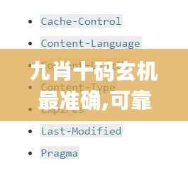 九肖十码玄机最准确,可靠解答解释定义_WearOS4.159