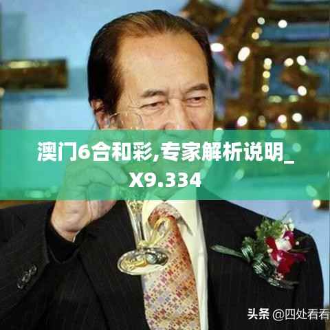 澳门6合和彩,专家解析说明_X9.334