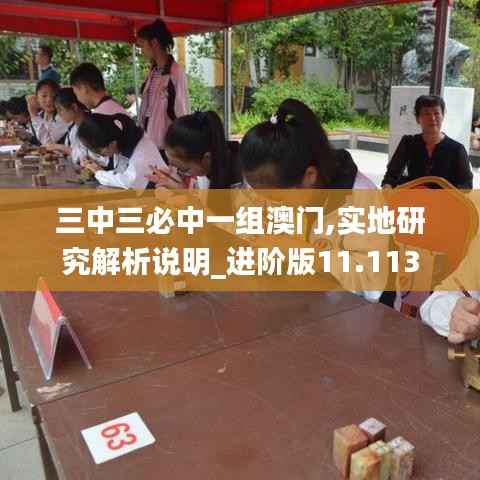 三中三必中一组澳门,实地研究解析说明_进阶版11.113