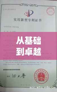 从基础到卓越:基础型专利与改进型专利的创新之旅