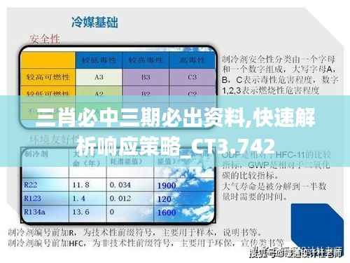 三肖必中三期必出资料,快速解析响应策略_CT3.742