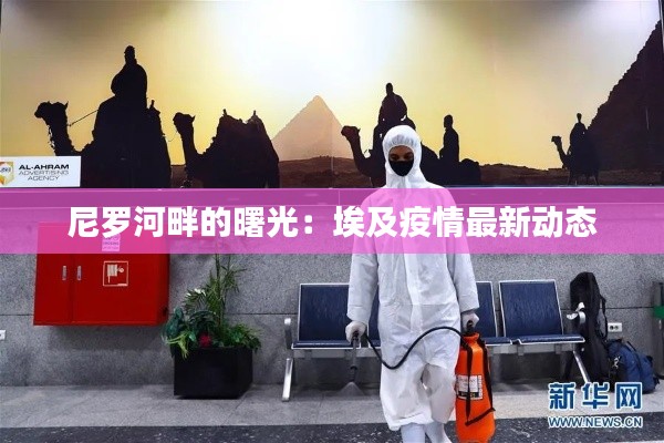 尼罗河畔的曙光:埃及疫情最新动态