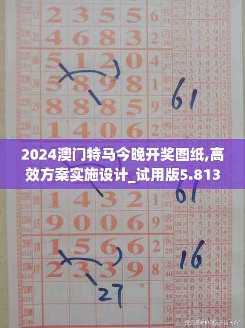 2024澳门特马今晚开奖图纸,高效方案实施设计_试用版5.813