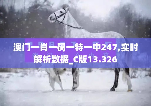 澳门一肖一码一特一中247,实时解析数据_C版13.326