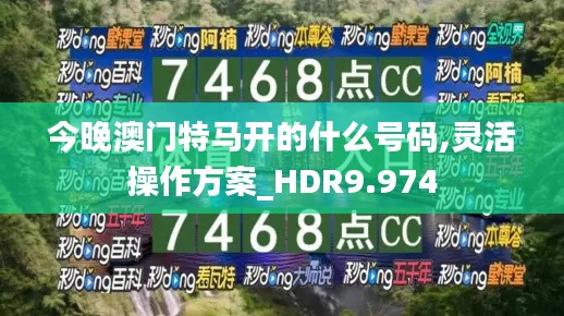 今晚澳门特马开的什么号码,灵活操作方案_HDR9.974