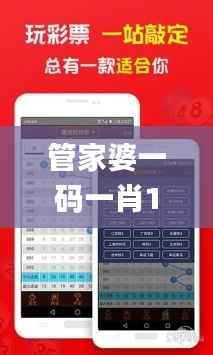 管家婆一码一肖100准341期,实效策略分析_Prestige3.215