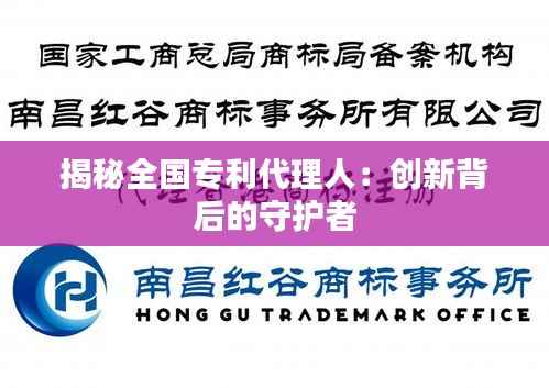 揭秘全国专利代理人:创新背后的守护者