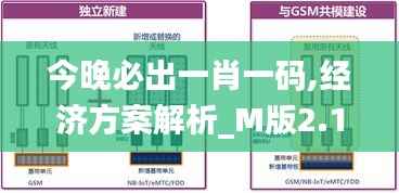 今晚必出一肖一码,经济方案解析_M版2.195