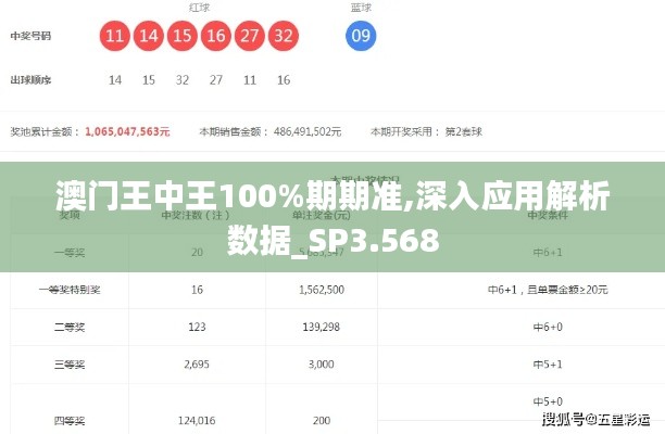 澳门王中王100%期期准,深入应用解析数据_SP3.568