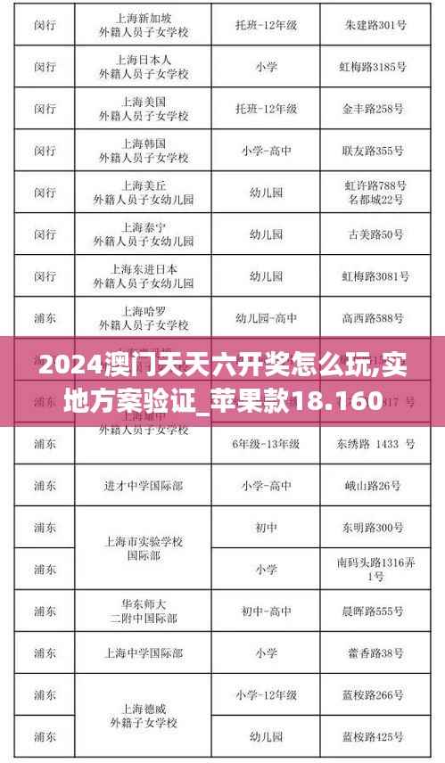 2024澳门天天六开奖怎么玩,实地方案验证_苹果款18.160