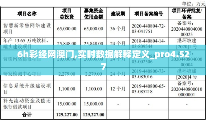 6h彩经网澳门,实时数据解释定义_pro4.527