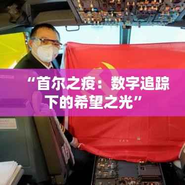 “首尔之疫:数字追踪下的希望之光”