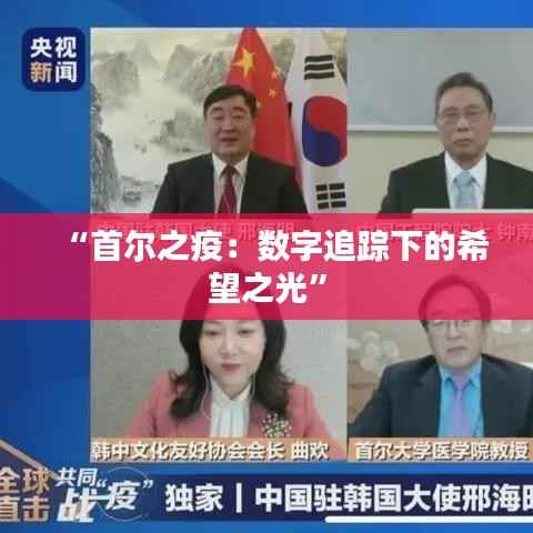 “首尔之疫:数字追踪下的希望之光”
