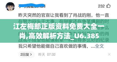 江左梅郎正版资料免费大全一肖,高效解析方法_U6.385