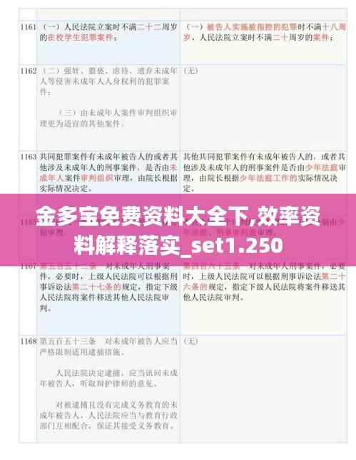 金多宝免费资料大全下,效率资料解释落实_set1.250