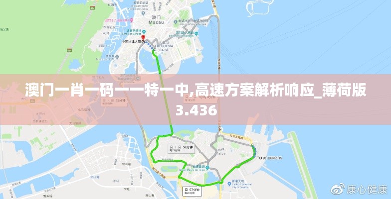 澳门一肖一码一一特一中,高速方案解析响应_薄荷版3.436