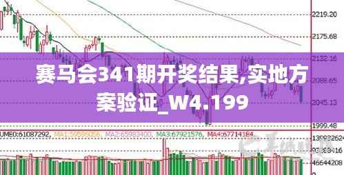 赛马会341期开奖结果,实地方案验证_W4.199