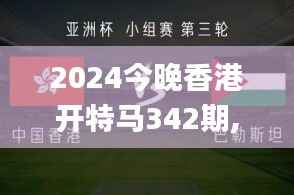 2024今晚香港开特马342期,经典解释落实_X版9.249