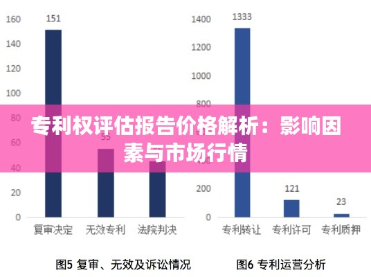 专利权评估报告价格解析:影响因素与市场行情
