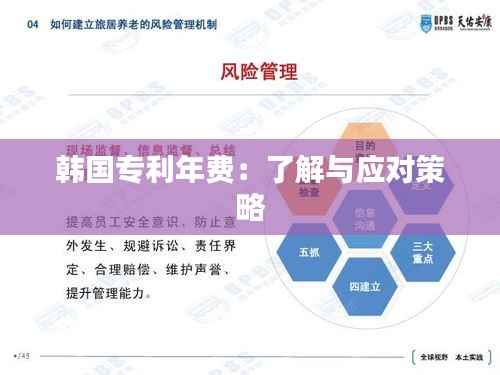 韩国专利年费:了解与应对策略