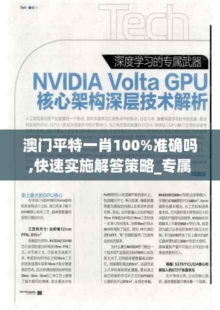 澳门平特一肖100%准确吗,快速实施解答策略_专属款1.743