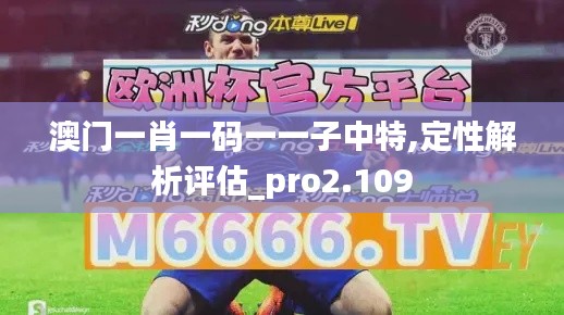 澳门一肖一码一一子中特,定性解析评估_pro2.109