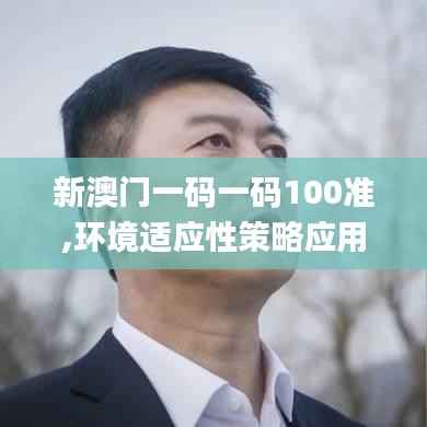 新澳门一码一码100准,环境适应性策略应用_高级版5.360